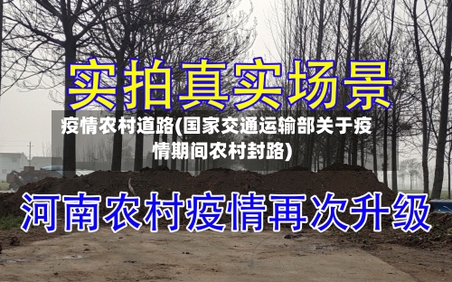 疫情农村道路(国家交通运输部关于疫情期间农村封路)-第1张图片