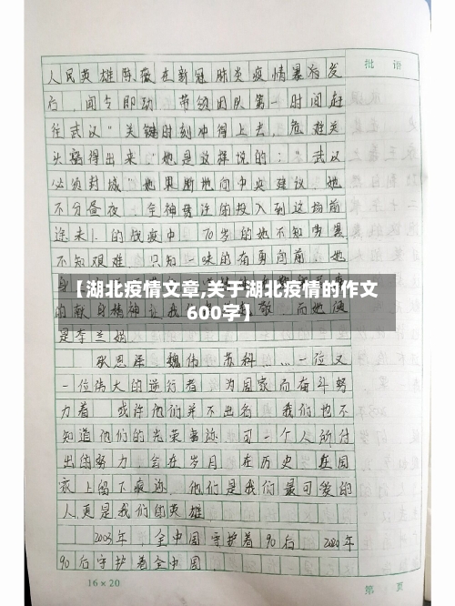 【湖北疫情文章,关于湖北疫情的作文600字】-第2张图片