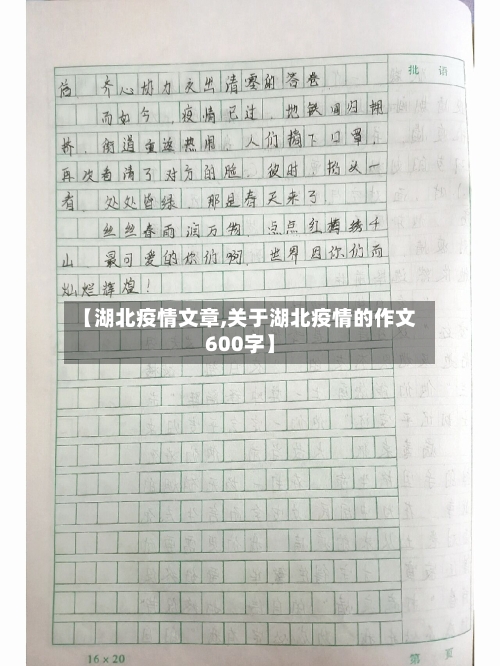 【湖北疫情文章,关于湖北疫情的作文600字】-第1张图片
