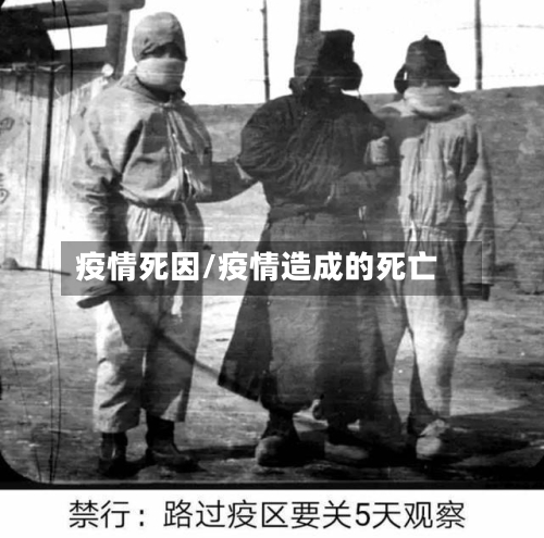疫情死因/疫情造成的死亡-第1张图片