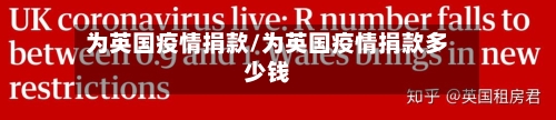 为英国疫情捐款/为英国疫情捐款多少钱-第1张图片