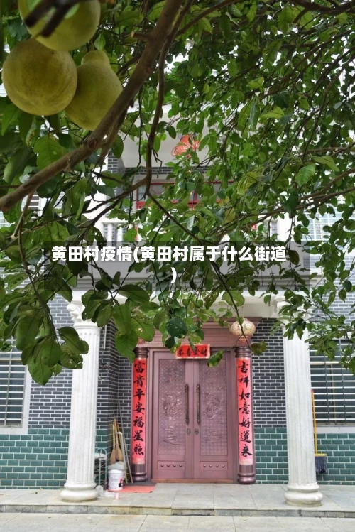 黄田村疫情(黄田村属于什么街道)-第2张图片