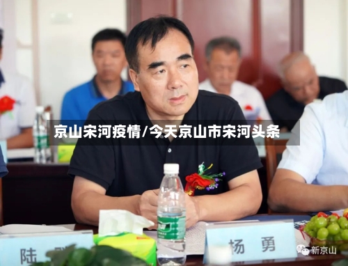 京山宋河疫情/今天京山市宋河头条-第2张图片