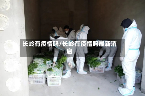 长岭有疫情吗/长岭有疫情吗最新消息-第1张图片