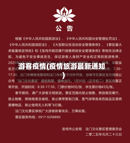 游客疫情(疫情旅游最新通知)-第2张图片