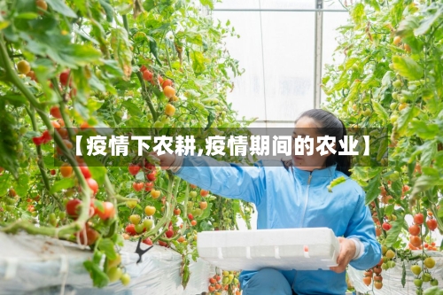 【疫情下农耕,疫情期间的农业】-第1张图片