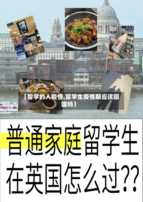 【留学的人疫情,留学生疫情期应该回国吗】-第1张图片