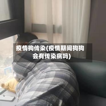 疫情狗传染(疫情期间狗狗会有传染病吗)-第3张图片
